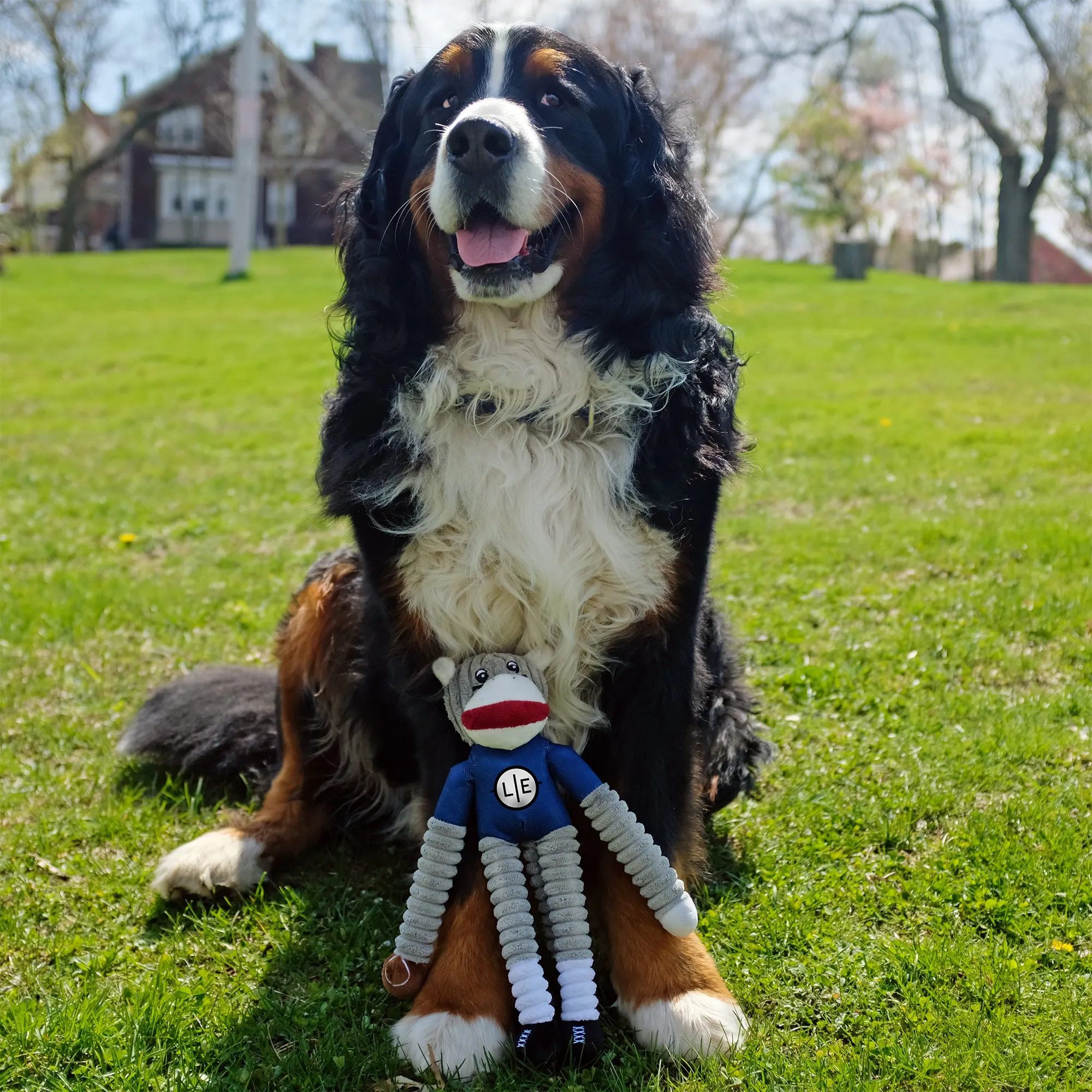 Auburn University Team Sock Monkey Pet Toy