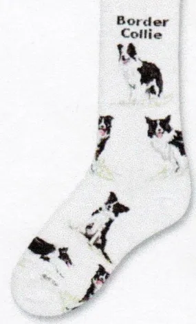 FBF Border Collie Poses 2 Sock